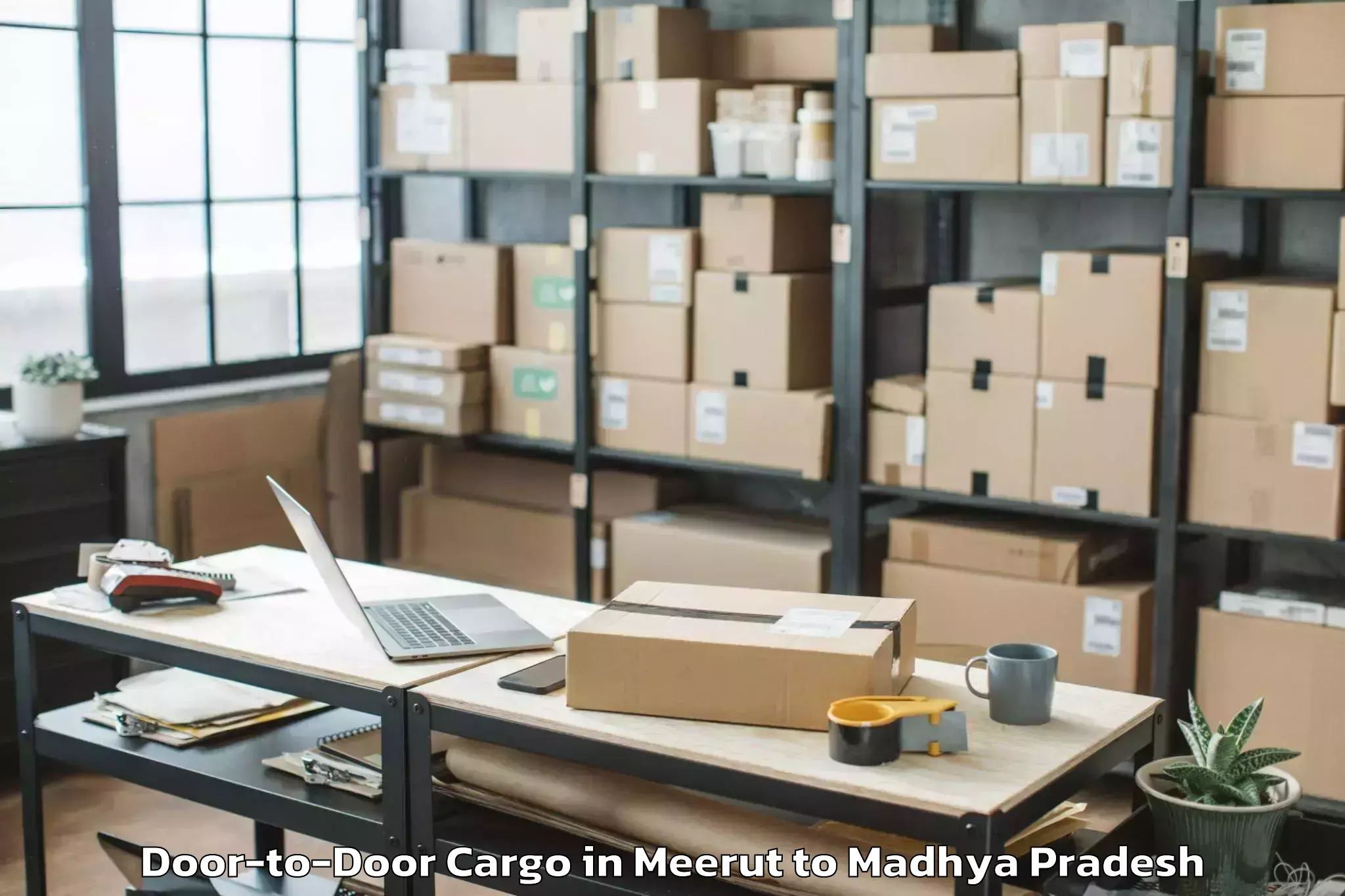 Professional Meerut to Rkdf University Bhopal Door To Door Cargo